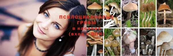 метамфетамин Алзамай