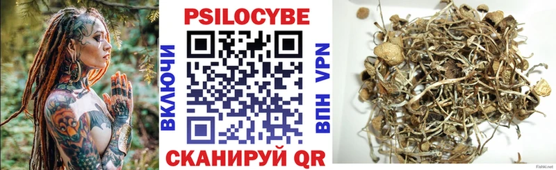Галлюциногенные грибы Cubensis  Поронайск 